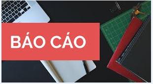 BÁO CÁO Về kết quả tự kiểm tra hoạt động tài chính năm 2024
